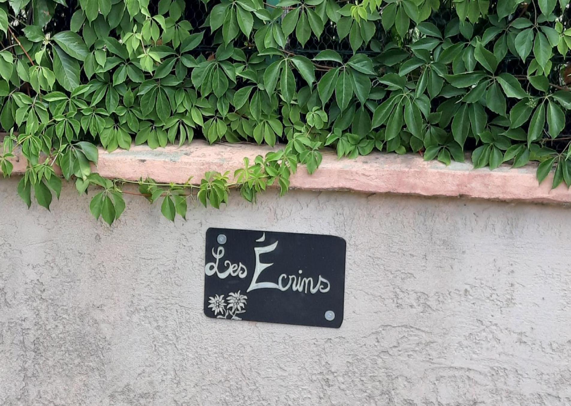 Les Ecrins Apartment Les Mages Екстериор снимка