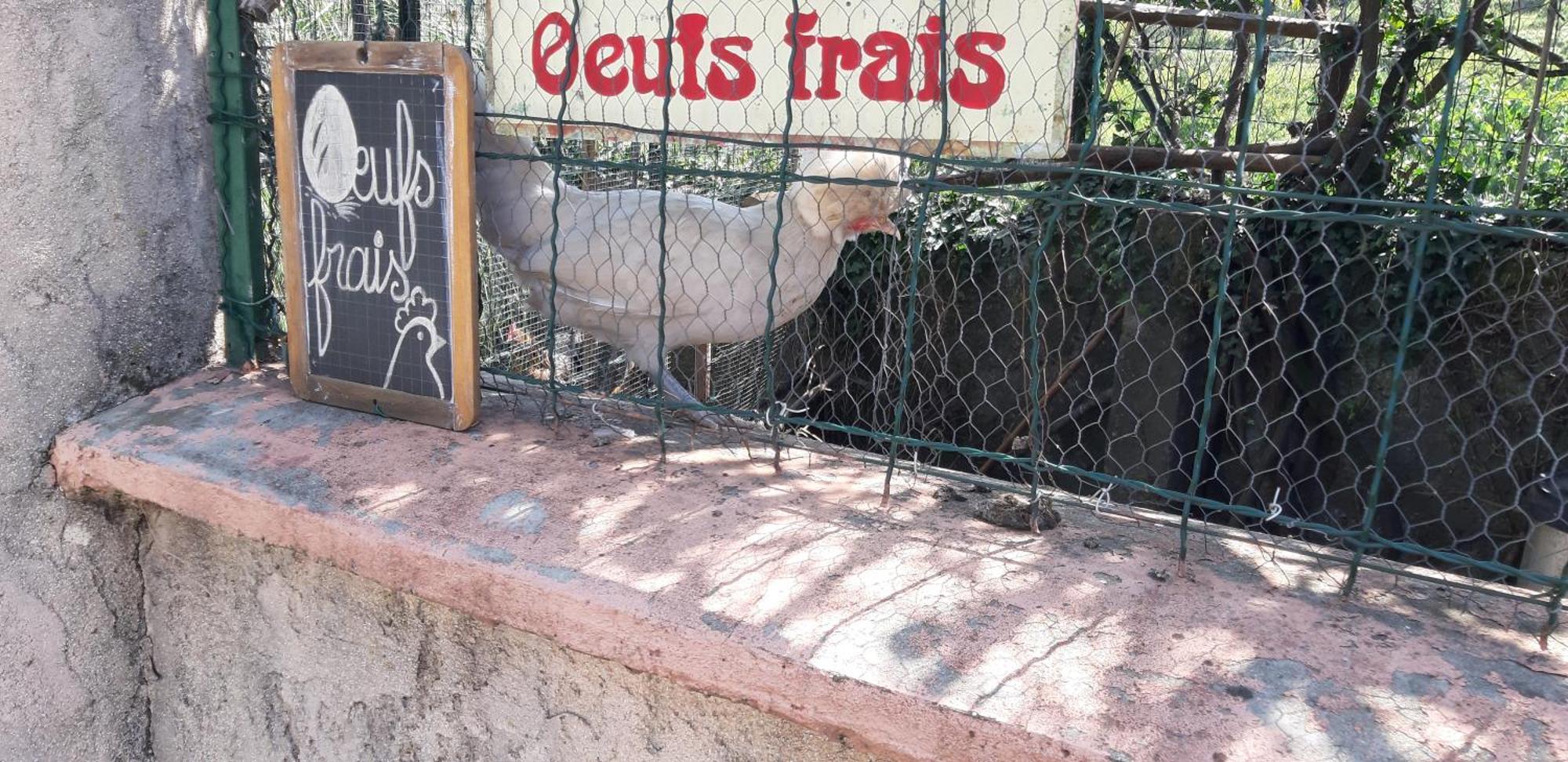 Les Ecrins Apartment Les Mages Екстериор снимка